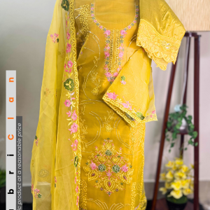 সাদাবাহার অরগাঞ্জা পাকিস্তানি ইনস্পায়ার্ড  | Sadabahar Pakistani inspired Unstitched